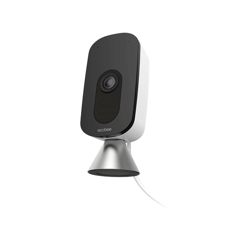 Is Ecobee Smart Remote Compatible With Alexa & Google?
